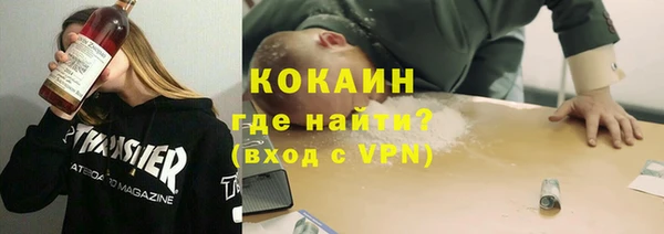 гашик Алексин