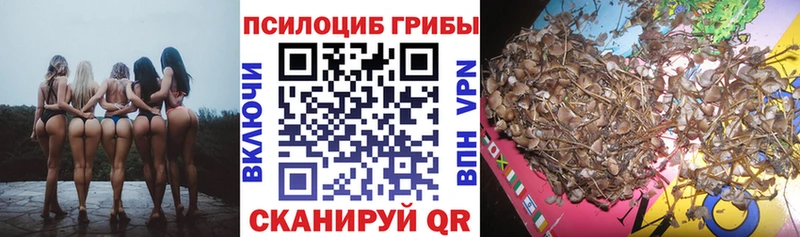 ОМГ ОМГ вход  Урюпинск  Псилоцибиновые грибы GOLDEN TEACHER  где купить наркоту 